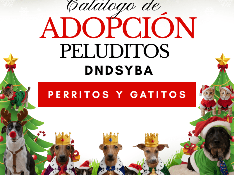 Defensa Animal invita a adoptar en Navidad y habilita catálogo de peluditos